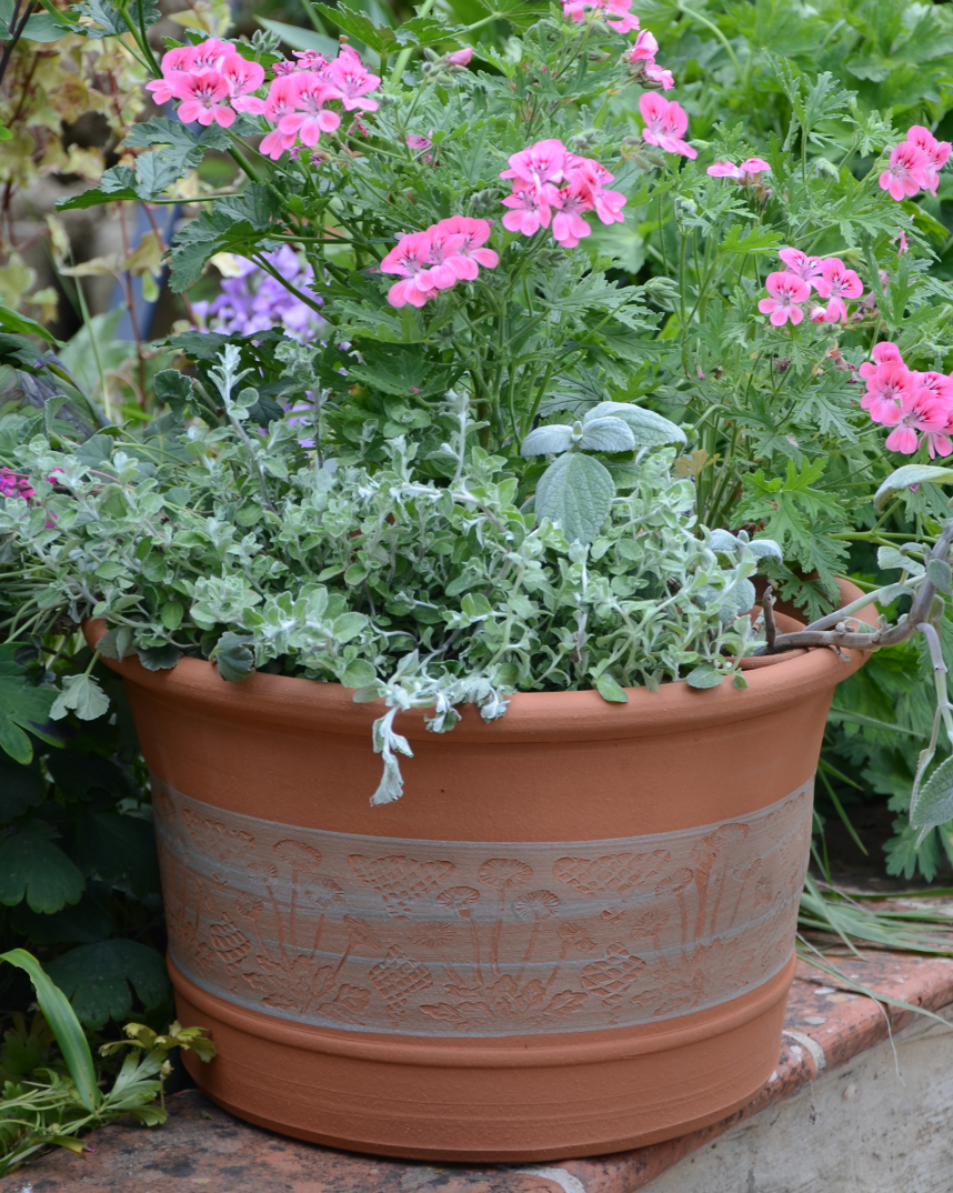 RHS Flowerpot Collection Whichford Pottery