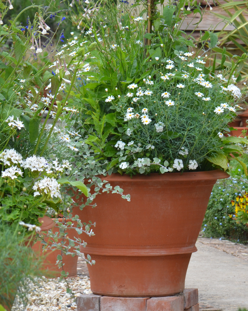 Statement Planter Whichford Pottery