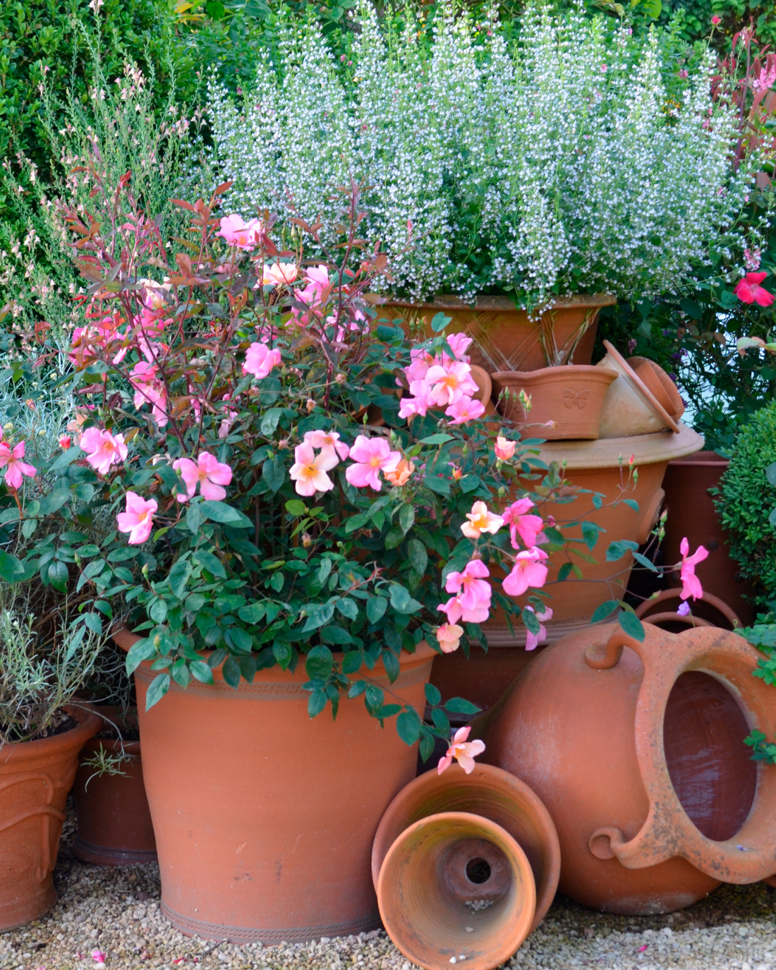 Beautiful flowerpots