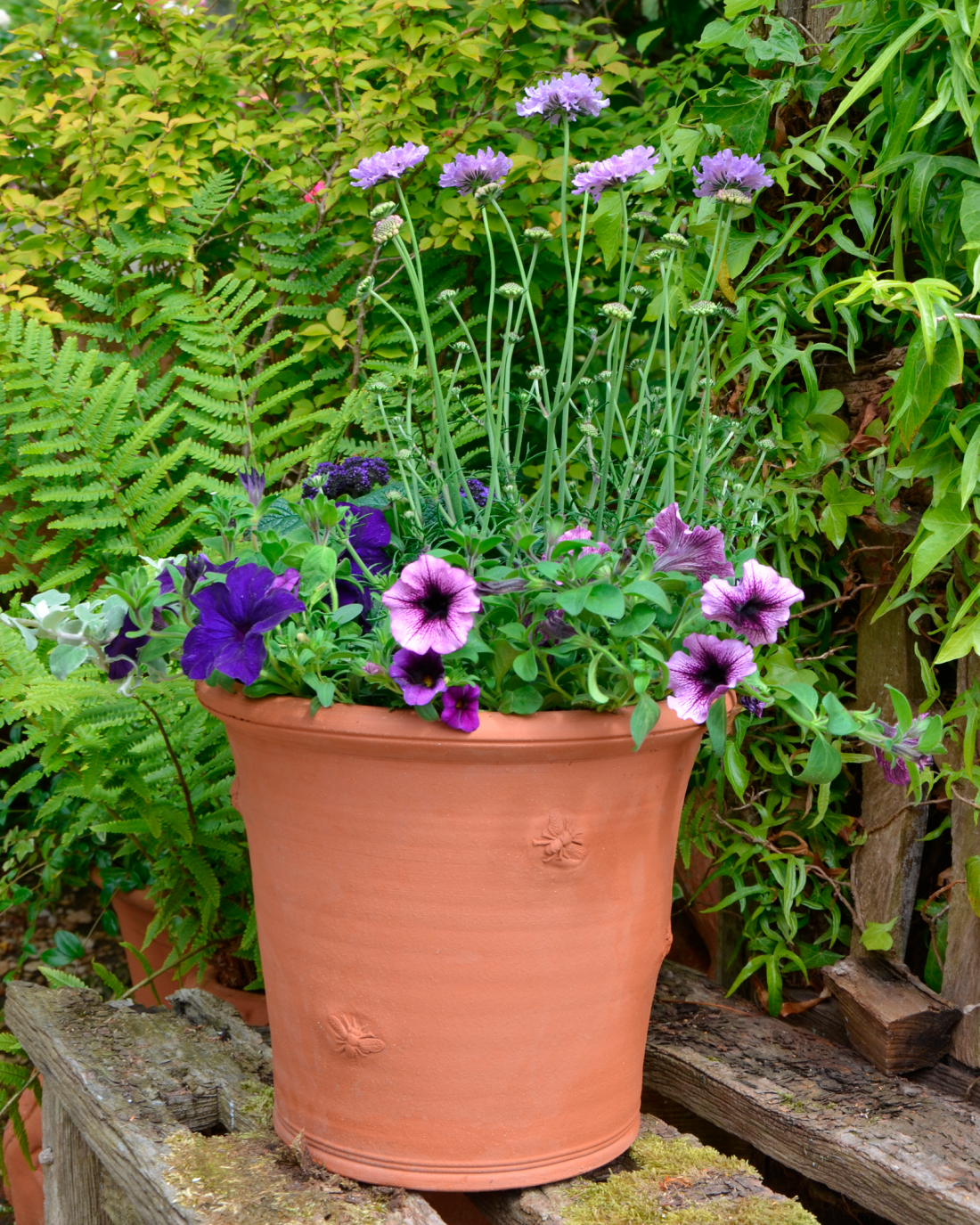 Armscote Bee Pot