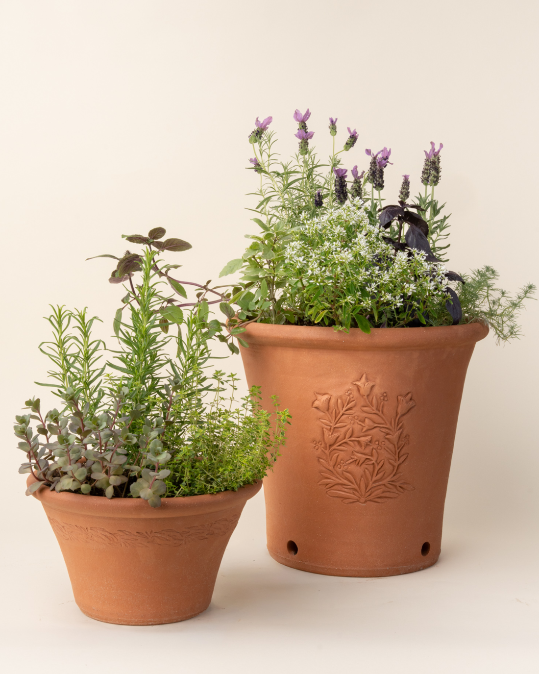 East Fork Kitchen Garden Tulip Pot